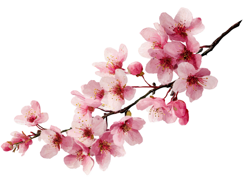 Sakura top right ornament